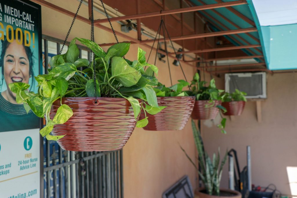 Center City Market Gets a Leafy Makeover!