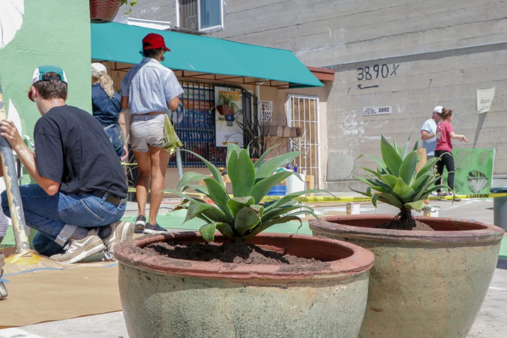 Center City Market Gets a Leafy Makeover!