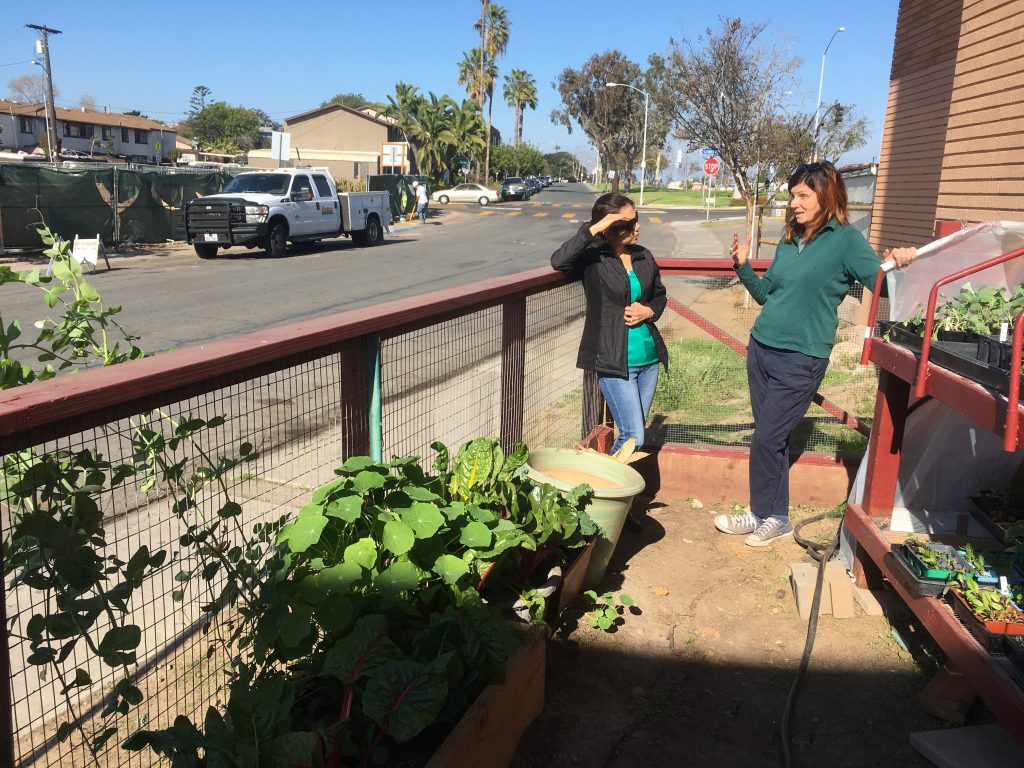 two people standing against fence with plants