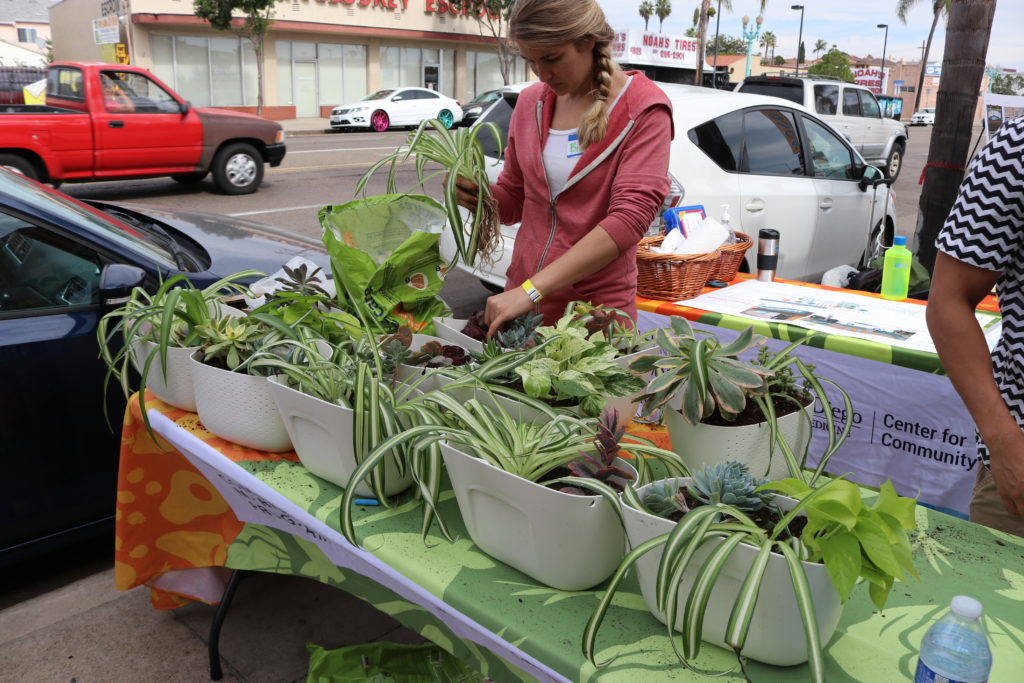 arranging plant table