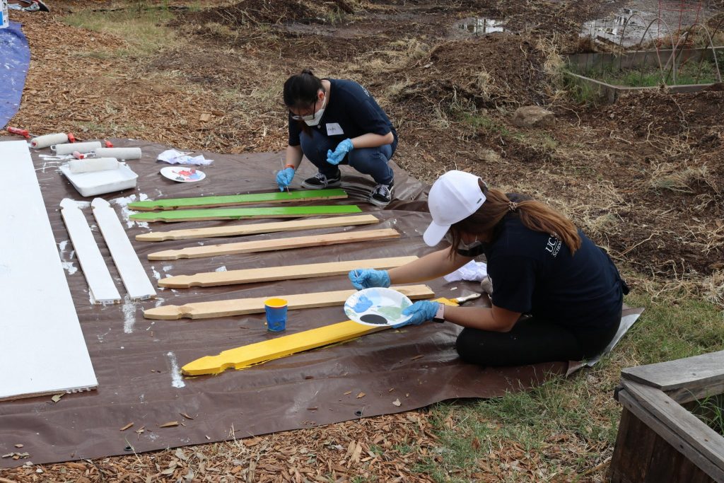 Urban Food Environments team