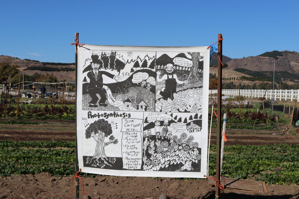 Solidarity Farm Carbon Sink Self-Guided Tour