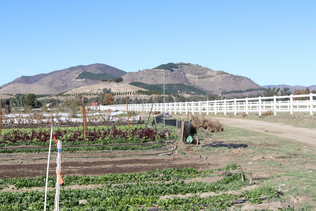 Solidarity Farm Carbon Sink Self-Guided Tour
