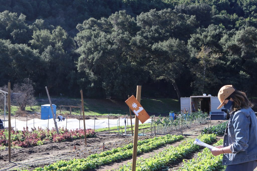 Solidarity Farm Carbon Sink Self-Guided Tour