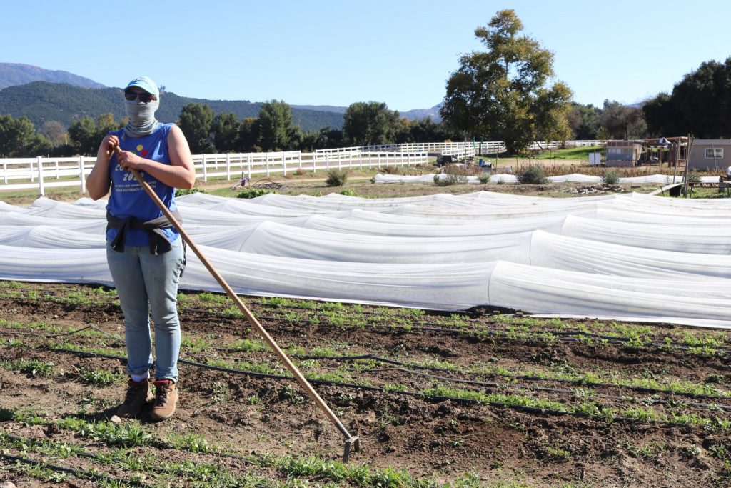 Solidarity Farm Carbon Sink Self-Guided Tour