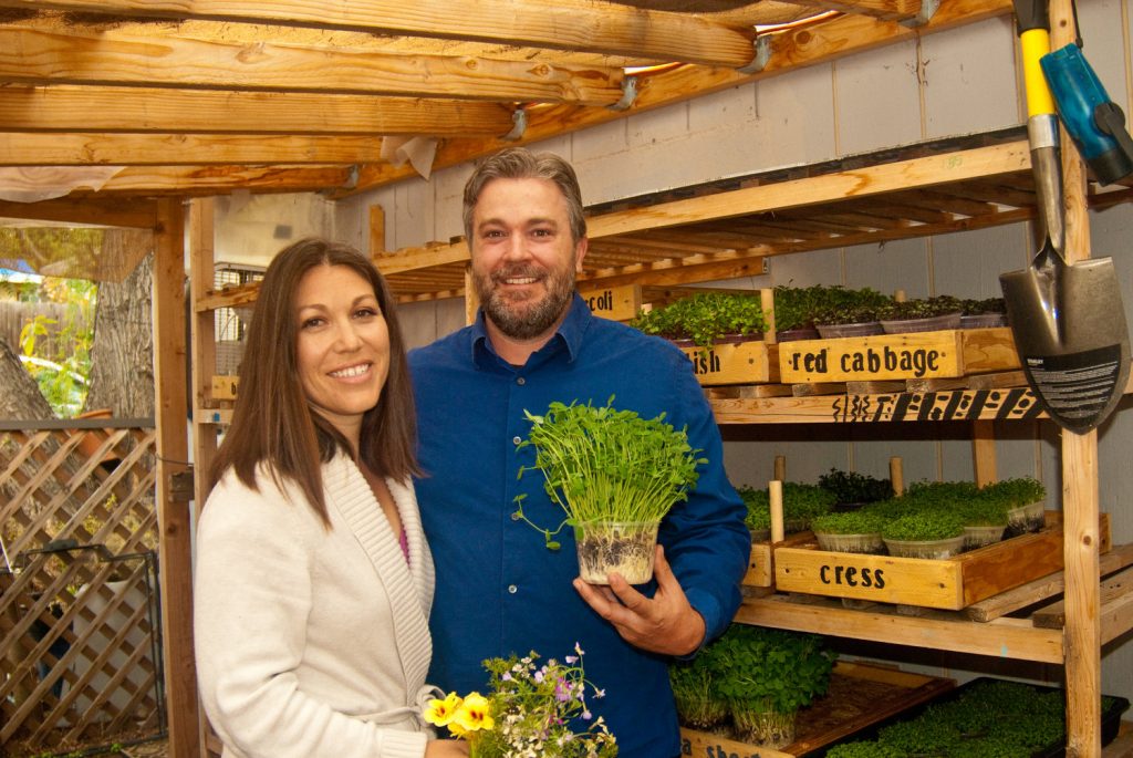 Meet-Quantum-Microgreens