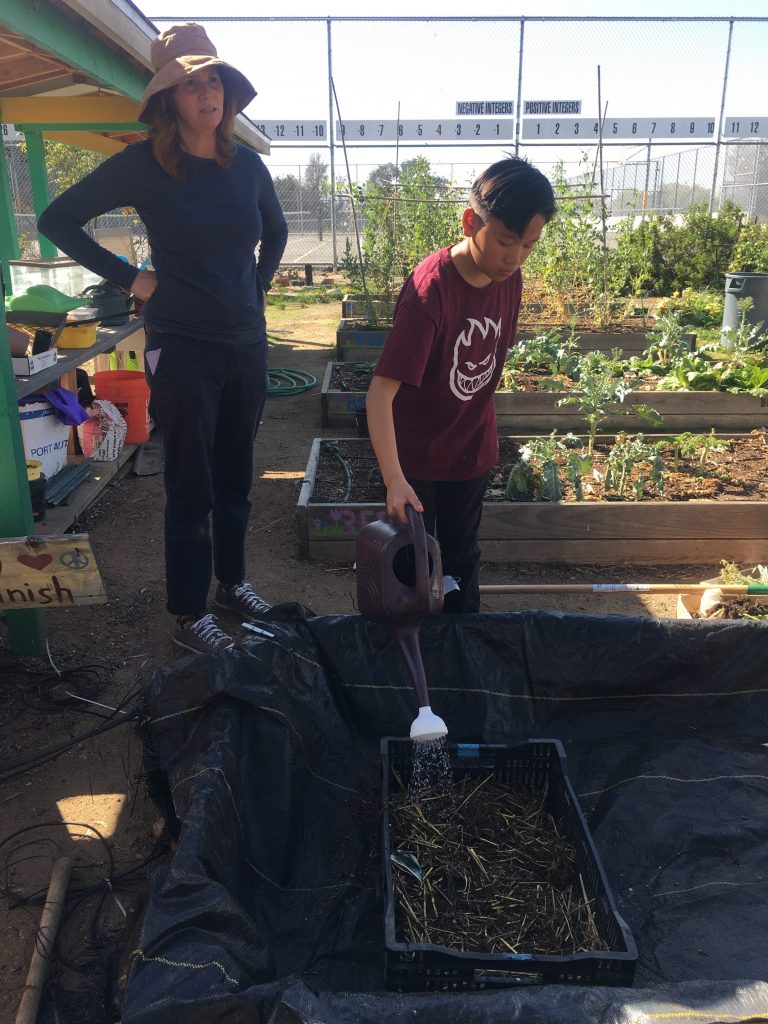 student watering basket in tarp