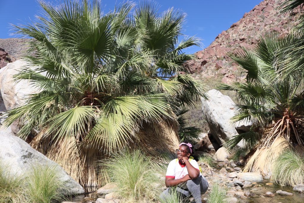 sitting by palm trees