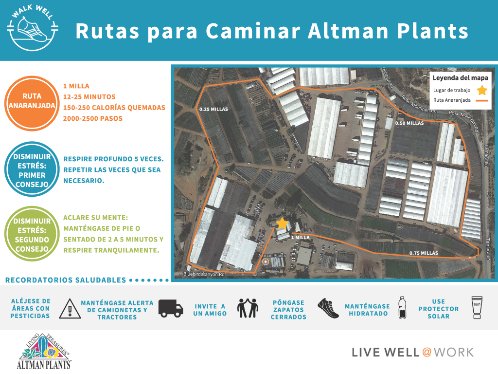altman plants walking routes (spanish version)