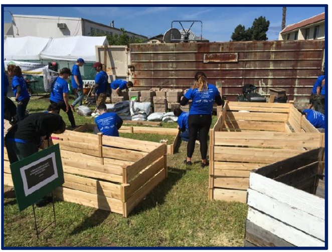 building raised beds