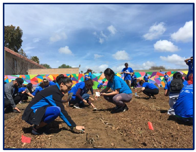 ceremonial seed planting