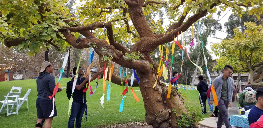 diversitree
