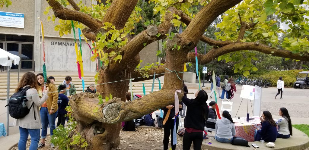 diversitree