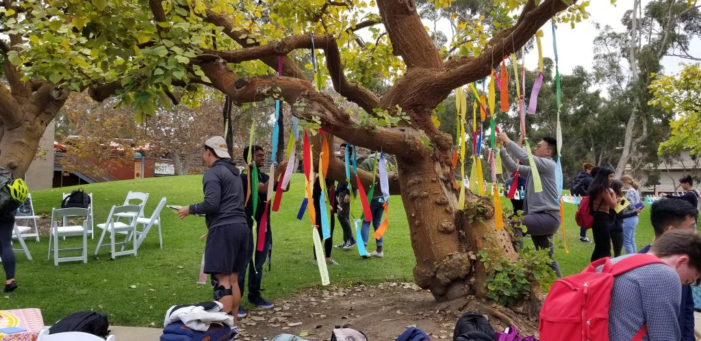 diversitree