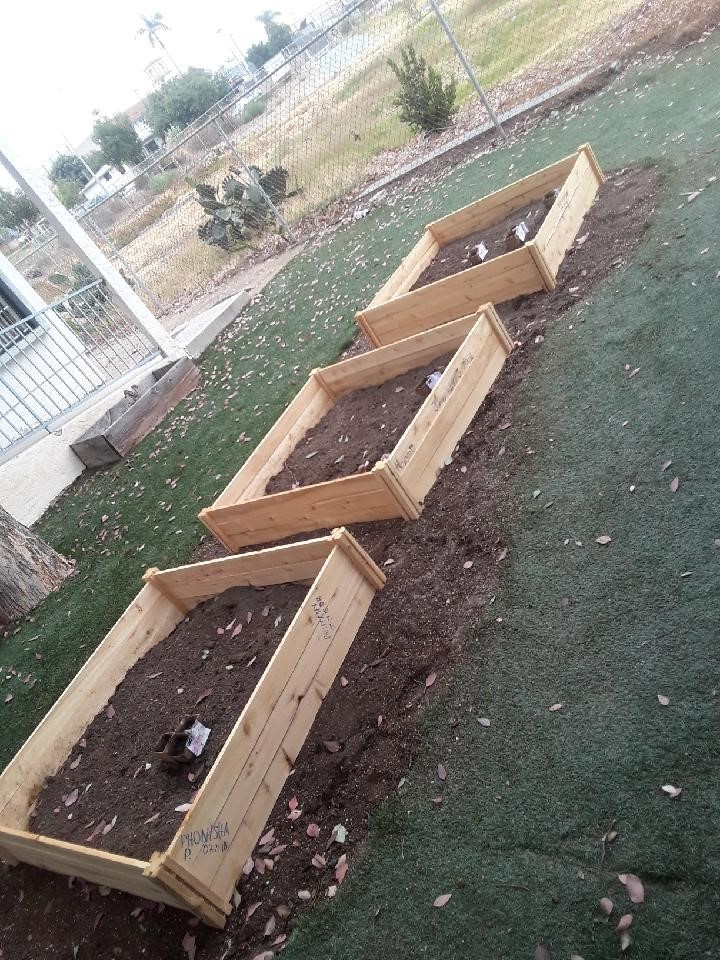 garden beds 2