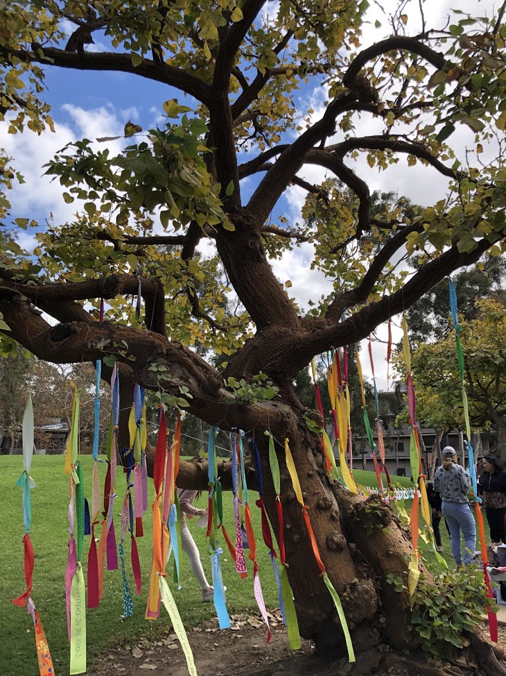 diversitree