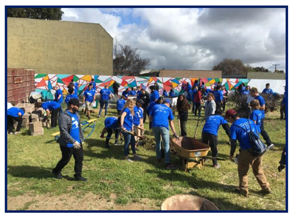 volunteers digging in