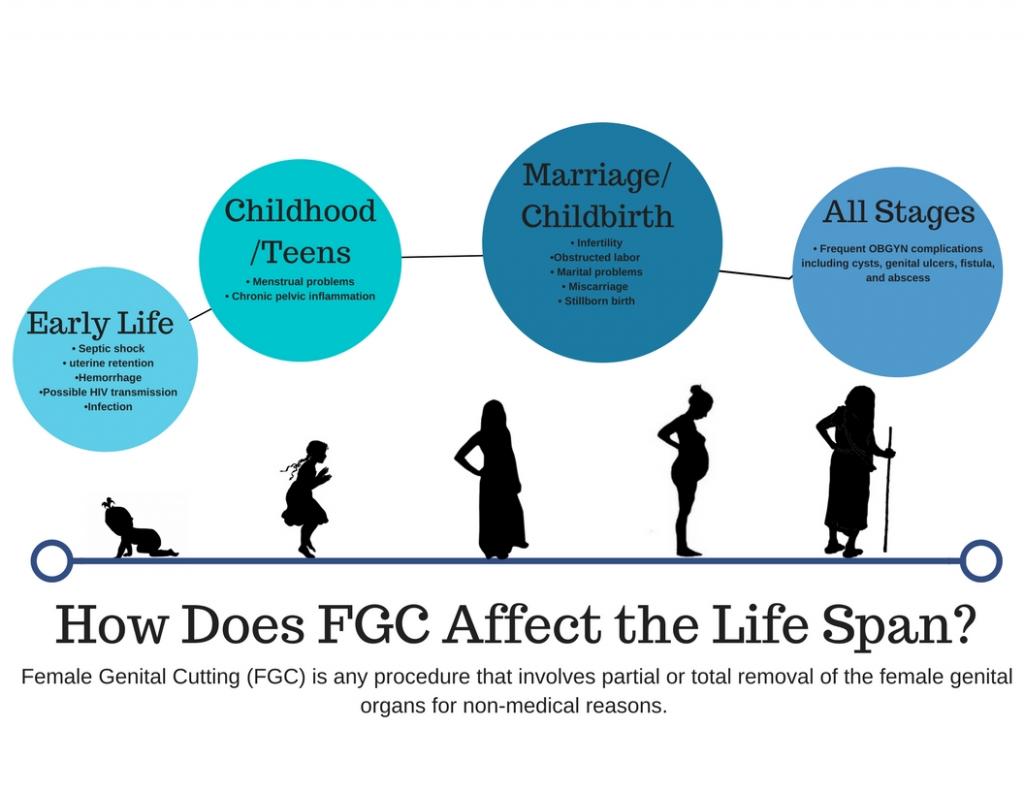 Infographic