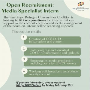 Social Media Internship